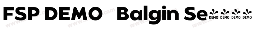FSP DEMO   Balgin Se字体转换
